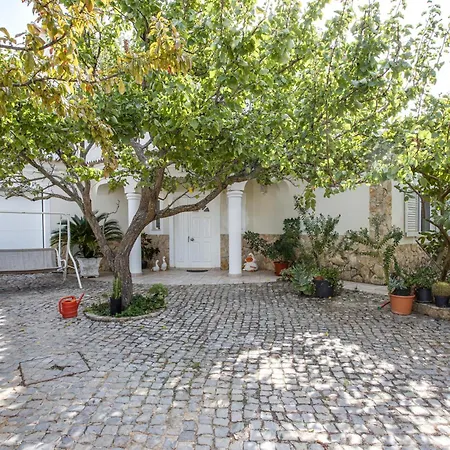 Casa Romanzeiras ヴィラ